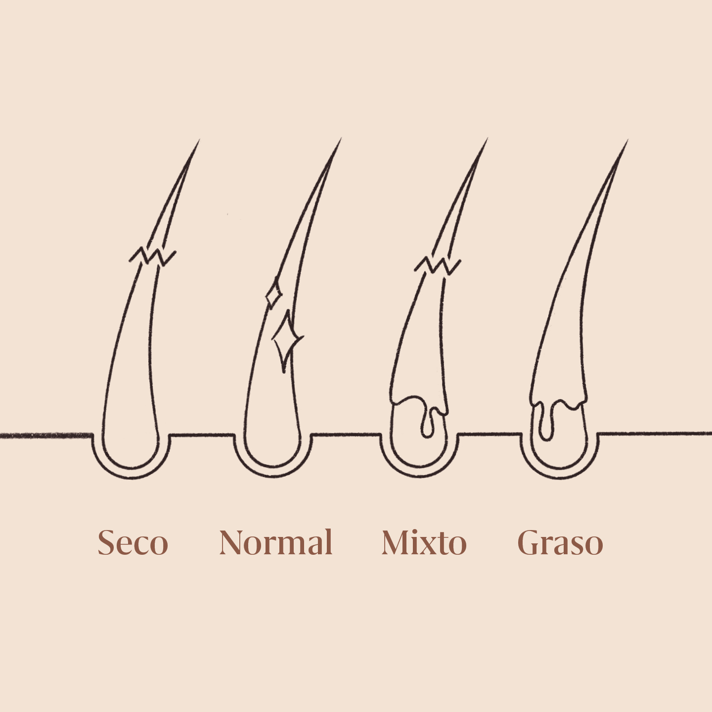 tipos de cabello segun la produccion de sebo