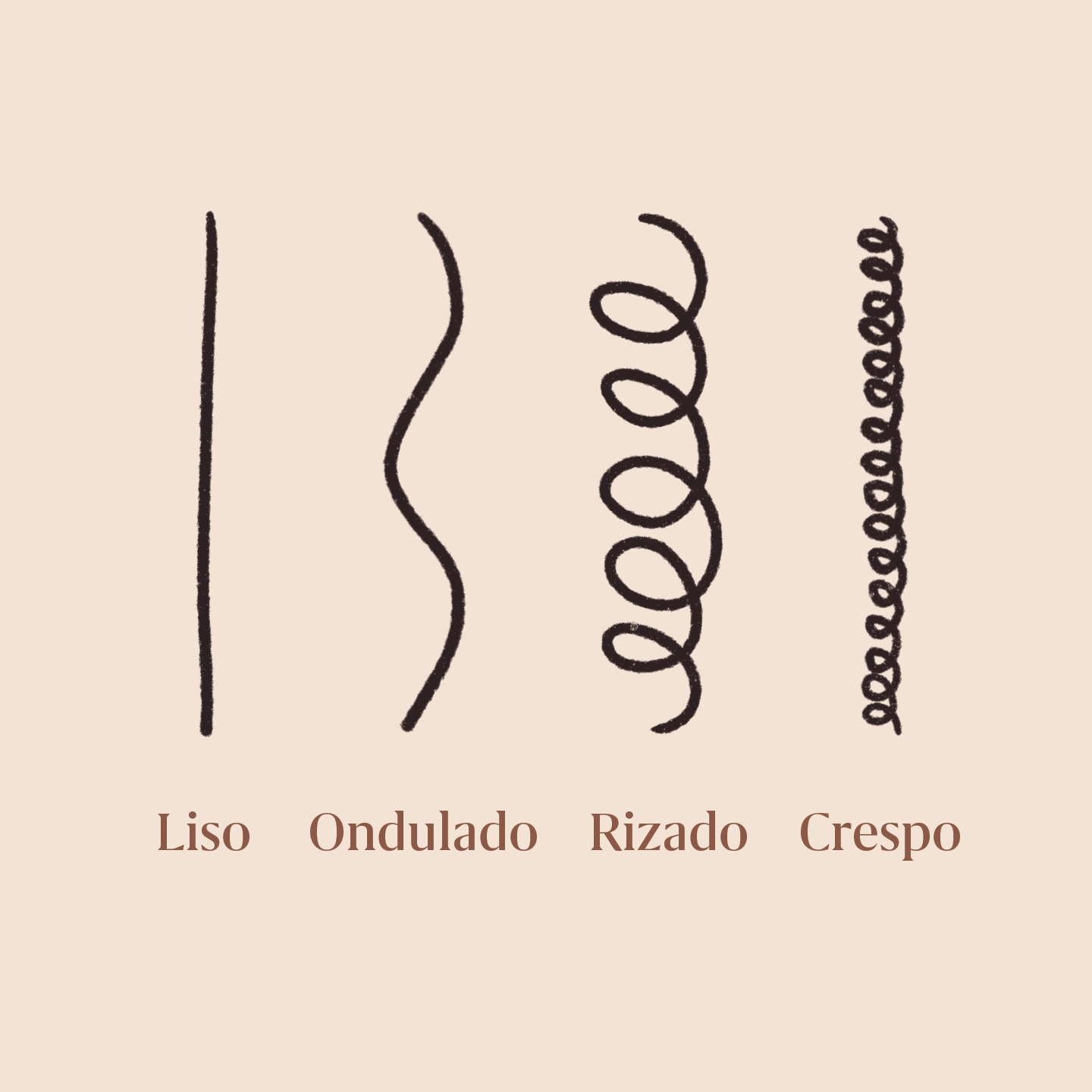 tipos de cabello segun su forma