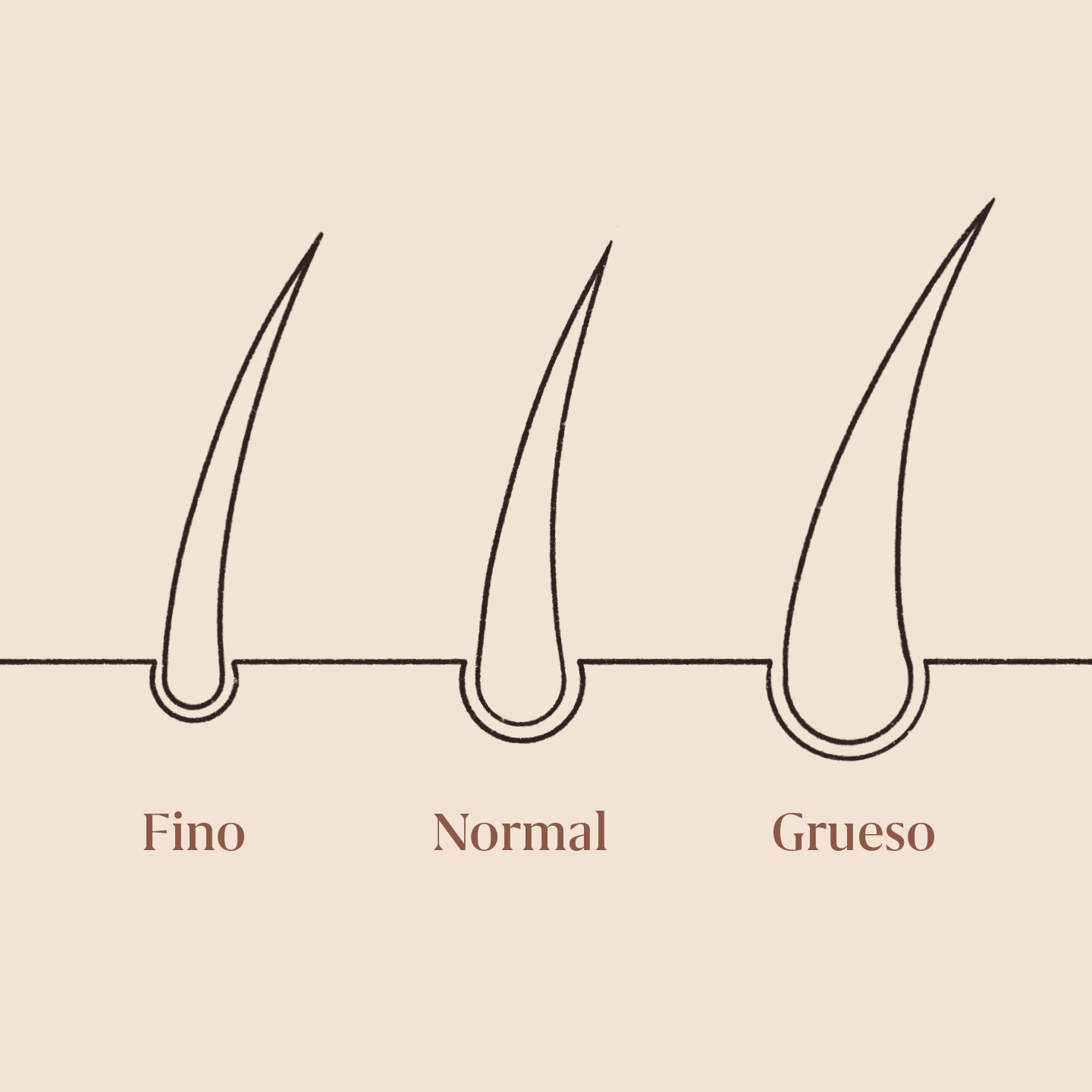 Tipos de pelo segun su grosor